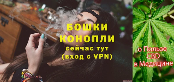 амф Майский