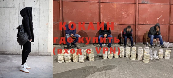 шишки Горнозаводск