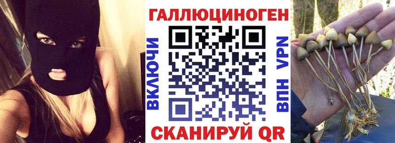сайты даркнета Telegram  хочу наркоту  Моршанск  Псилоцибиновые грибы мицелий 