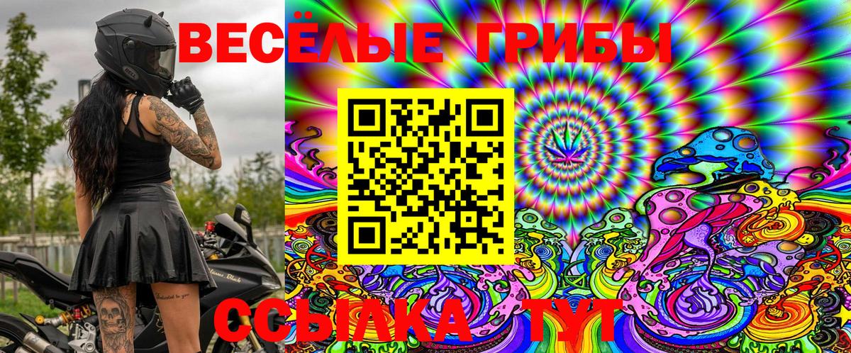 Галлюциногенные грибы Psilocybine cubensis Моршанск