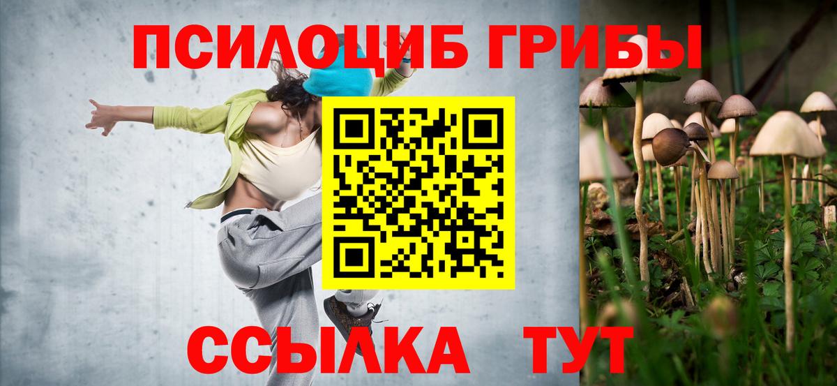 Галлюциногенные грибы Psilocybe  Вход с VPN  Галлюциногенные грибы Magic Shrooms  Моршанск 